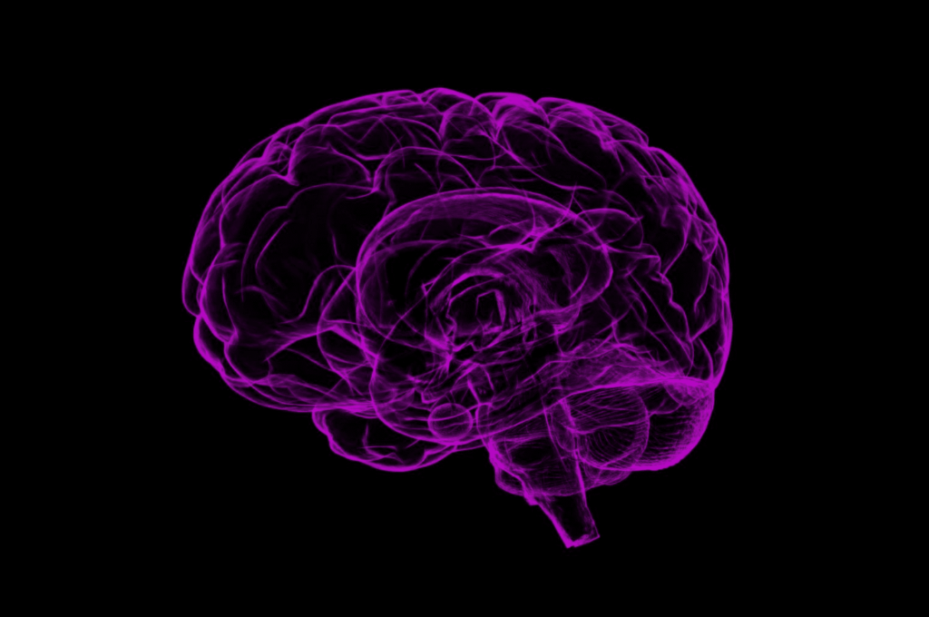 Saiba como ler a mente do público através do PMS - Desenho de um cérebro humano na cor roxo em um fundo preto.